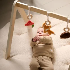 BABYGYM HOUT NATUREL u00abFORu00caTu00bb | INCL. ACCESSOIRES